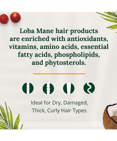 Loba Mane Curly Hair Treatment Set - Mask, Styling Cream & Cleanser - Sulfate-Free, Vegan, Natural & Organic - 2oz - Buy Online on GoSupps.com