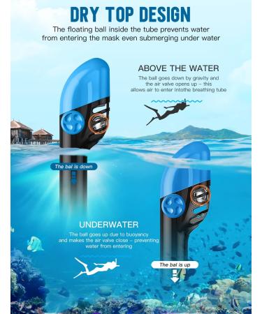 Full Face Snorkel Mask for Adults - Anti-Fog Diving Gear with Safety Breathing System and 180 Panoramic View - Blue S/M - Buy Online on GoSupps.com