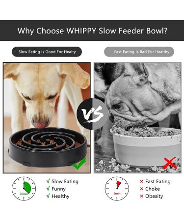 Large Non-Slip Slow Feeder Dog Bowl | Interactive Maze Puzzle for Healthy Eating | Prevents Choking and Bloating | Black - Buy Online on GoSupps.com