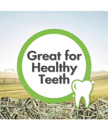 Vitakraft Timothy Hay for Small Animals - Premium Nutrition & Freshness - Buy Online on GoSupps.com