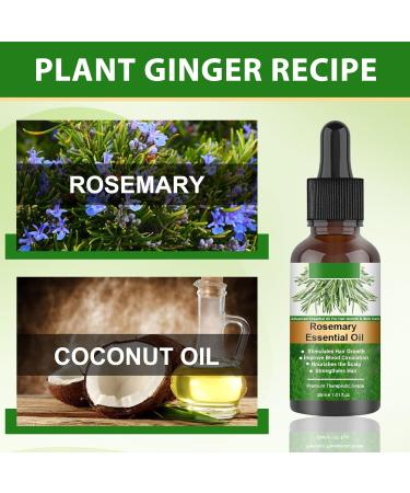 Organic Rosemary Hair Oil Combo - 4-Pack for Hair Growth & Scalp Massage | Natural Essential Oils for Skin Care & Aromatherapy - Buy Online on GoSupps.com