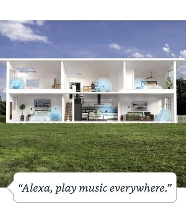 Echo (4th Gen) | Premium Sound Smart Home Hub with Alexa | Charcoal - Buy Online on GoSupps.com