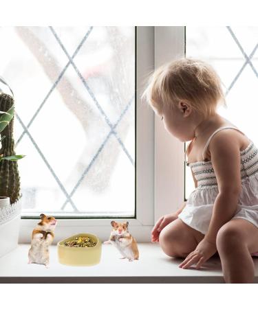 Balacoo Hamster Feeding Bowls- 3Pcs Pet Water Dispenser Ceramic Animal Dishes Food and Water Water Bowl for Mouse Dog (Random Color) - Buy Online on GoSupps.com