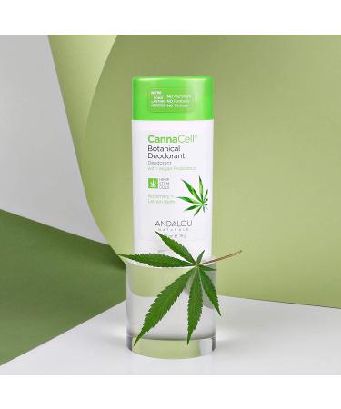 Andalou Naturals Cannacell Deodorant - Rosemary & Lemon Balm, 2.65 oz | Natural & Vegan Formula - Buy Online on GoSupps.com