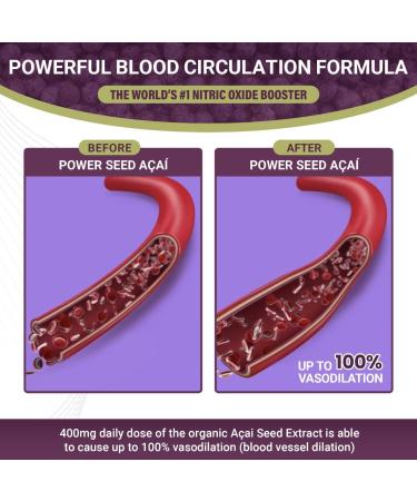 Organic Acai Seed Extract Nitric Oxide Supplement - 60 Capsules for Improved Blood Flow & Circulation | 100% Vasodilation Support with 50x Antioxidants - Buy Online on GoSupps.com