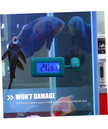 Fondotin Reptile Hygrometer & Thermometer | Accurate Mini Thermometer for Reptiles & Terrariums - International Shipping Available - Buy Online on GoSupps.com