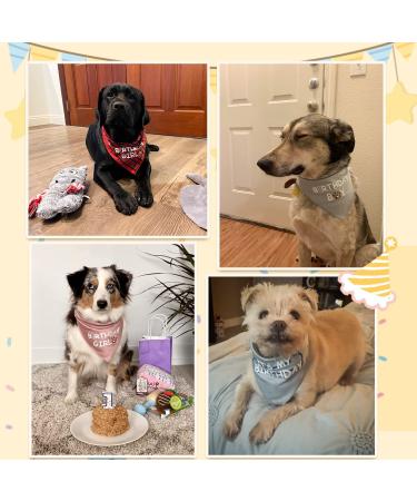 Dog Birthday Bandana for Large Pet - Pink Birthday Girl Design - 1 Pack - Buy Online on GoSupps.com