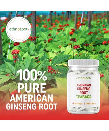 Pure American Ginseng Teabags- Natural Stress & Energy Support - 48 Vegan Teabags - Buy Online on GoSupps.com