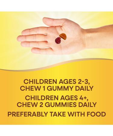 Nature s Way Alive! Kids Zero Sugar Gummy Multivitamins for Kids Ages 2+ Supports Bone Eye & Immune Health* No Sugar Alcohols Plant-Based Sweeteners Berry-Citrus Flavored 60 Gummies - Buy Online on GoSupps.com