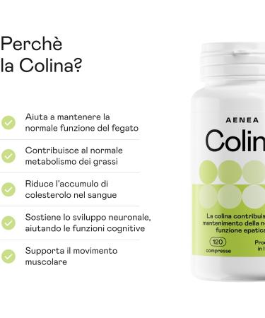 Choline Bitartrate 120 tabs High dosage (1200 mg) 4 month supply - Purifying action - Maintains normal liver function - Buy Online on GoSupps.com