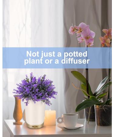 Essential Oil Diffuser - Lavender Aromatherapy Diffuser for Home & Office Super Quiet with Auto Shut-Off 150ml - White Potted Plant Design - Buy Online on GoSupps.com