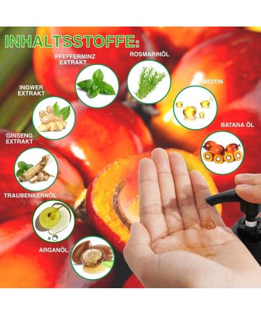  p-beauty Rosemary Hair Growth Oil Shampoo 2 x 300 ml Anti-hair loss and scalp care Moisturizing and regenerating For all hair types in case of - Buy Online on GoSupps.com