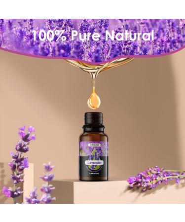 100% Natural Aromatherapy Essential Oils Set for Home Diffuser - 10ML x 20 - Gift Set for Relaxing, Cleaning, and Home Fragrance - Buy Online on GoSupps.com