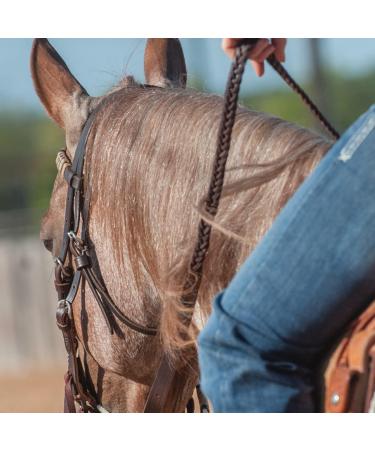 Martin Saddlery Latigo Braided 5-Strand Roping Rein - 3/4 Thick with Buckle Snap Ends - Buy Online on GoSupps.com