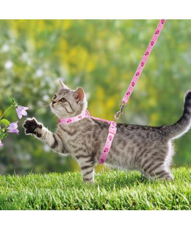 Adjustable Nylon Cat Leash Set - 2 Pieces with Lady Beetle Print & Soft Cat Dishes for Kittens Puppies & Rabbits - Pink & Blue - Buy Online on GoSupps.com
