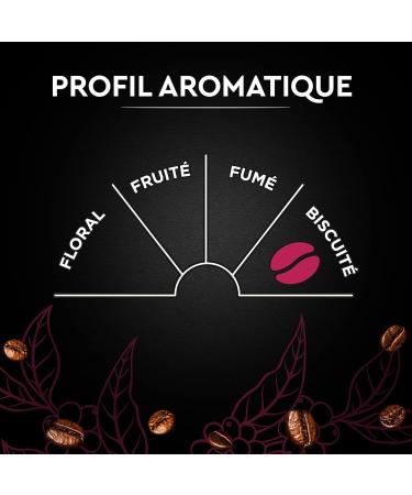 CARTE NOIRE - Caf Grain Carte Noire Espresso - 100% Arabica - Paquet de 2 kg - Fabriqu en France - Buy Online on GoSupps.com
