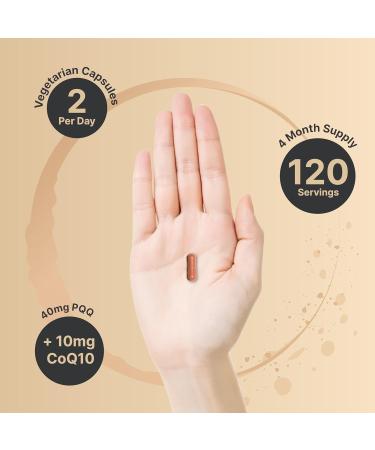 NatureBell PQQ 40mg with CoQ10 - 240 Capsules for Heart Brain & Mitochondrial Health | Non-GMO & Bioavailable ZenPQQ - Buy Online on GoSupps.com