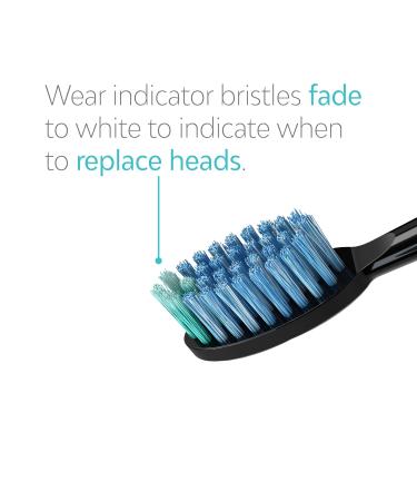 TAO Clean Daily Care Whitening Replacement Heads - Black - 2 Pack | International Shipping Available - Buy Online on GoSupps.com