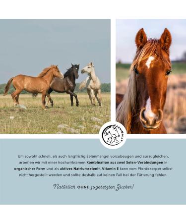Annimally Selen - Premium Vitamin E Lysine & Selenium Powder for Horses | 800g Muscle & Performance Support Supplement - Buy Online on GoSupps.com