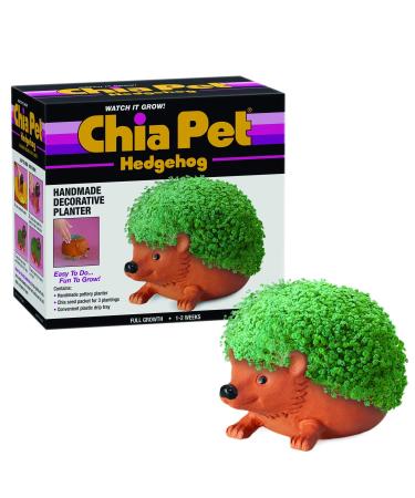 Chia Pet Planter- Hedgehog