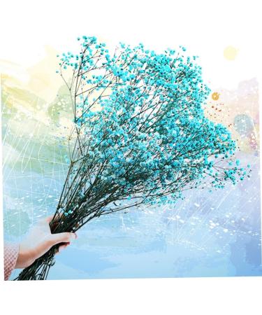 2pcs Plant Decor Gifts Dried Flowers The Gift Dried Flower Decor Creative Preserved Flower Preserved Flower Decor Romantic Preserved Flower Artificial Gypsophila Bluex2pcs 60X20cmx2pcs - Buy Online on GoSupps.com