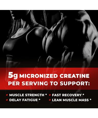 NAR LABS Creatine Matrix 300 Grams | Natural | Non-GMO | Gluten Free | 60 Servings - Buy Online on GoSupps.com