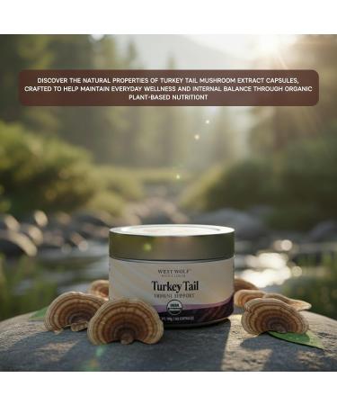 Turkey Tail Mushroom Extract Capsules | Organic Turkey Tail Mushroom Extract | High Potency 40%+ Beta-Glucans | Vegan | No Fillers Non-GMO | Premium Organic 120 Capsules / 4 month supply - Buy Online on GoSupps.com