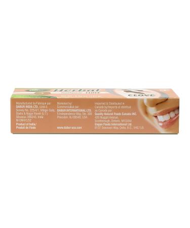 Dabur Herbal Toothpaste Clove 5.43 oz - Natural Oral Care with Clove Extracts - Buy Online on GoSupps.com