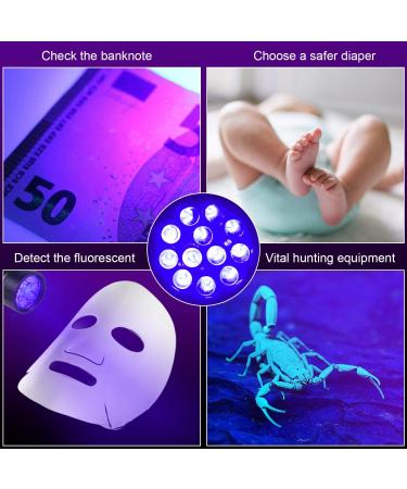 BeinHome UV Flashlight Black Light - 5 Pack UV Lamps with 12 LEDs 395nm Pet Urine Detector for Dog and Cat - Includes 15 AAA Batteries - Buy Online on GoSupps.com