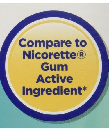 Equate Nicotine Gum 2mg - Mint Flavor, 170 Pieces - Stop Smoking Aid - Buy Online on GoSupps.com