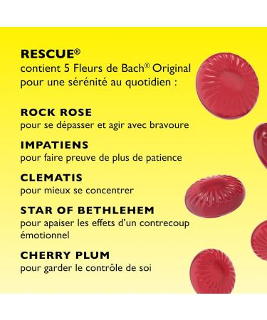 RESCUE - Pastilles go t Fruits des bois - Bien- tre motionnel naturel - M lange de 5 Fleurs de Bach Original - Id al lors de d placement voyage stress du quotidien - Sans sucre - Bo te de 50g - Buy Online on GoSupps.com