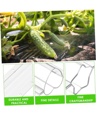 4pcs Planting Chocolate Shaped Heart Vegetable Shaping Candy Vegetables Cucumber Star Mold X Growth - Buy Online on GoSupps.com