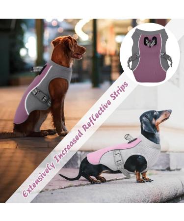 Buy Kuoser Cooling Vest for Dogs | Breathable Reflective Safety Coat for Small & Medium Dogs - Perfect for Hot Summer Days & Outdoor Activities - Buy Online on GoSupps.com