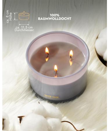 96North Luxury Candles | 3-Wick Sage Fragrance | 100% Natural Soy Wax | 40-Hour Burn Time | Perfect Wedding Gifts for Women - Buy Online on GoSupps.com