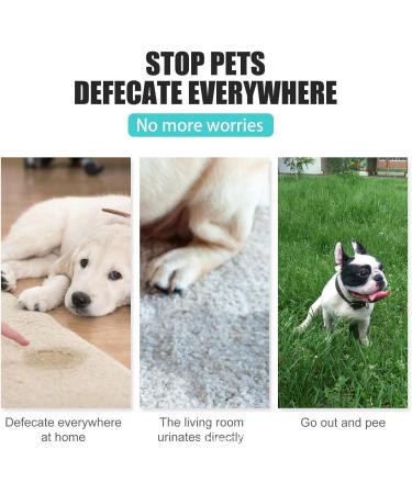 Go Here Spray for Dogs 30ml No Pee Spray for Dogs Puppy Supplies for Training Dogs Removing Stains and Odors Rianpesn - Buy Online on GoSupps.com