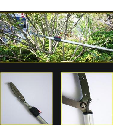 YomyRay 150CM Snake Tong Reptile Grabber Stick Rattlesnake Catcher Professional Extendable Wide Jaw Handling Tool (Include Bag) (150CM Extendable) - Buy Online on GoSupps.com