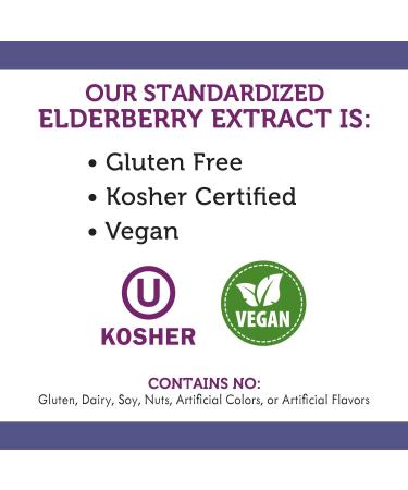 Nature's Way Sambucus Sugar-Free Elderberry Syrup 4 Oz - Immune Support Formula - Buy Online on GoSupps.com