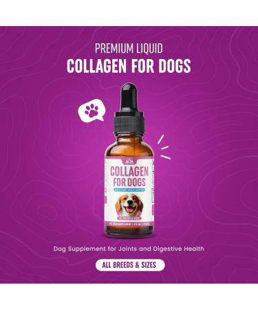Premium Liquid Collagen for Dogs (120ml) Daily Collagen Dogs Supplement Drops with Types I II & III & Hyaluronic Acid - Dog Supplement for Joints and Digestive Health - All Breeds & Sizes - USA Made - Buy Online on GoSupps.com