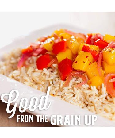 Organic California Brown Jasmine Rice - Lundberg Family Farms, Gluten-Free & High Fiber (32 oz) - Buy Online on GoSupps.com