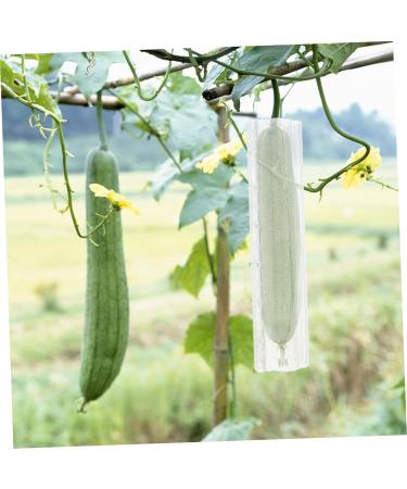 Happyyami 4 Pcs Fruit and Vegetable Shaping Mold Fruit Shaping Tool Fruit Ginseng Fruit Cucumber - Buy Online on GoSupps.com