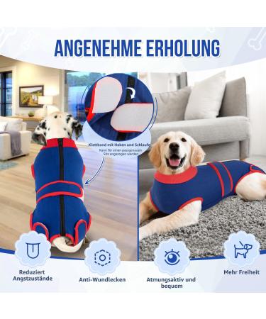 Eyein Dog Recovery Suit - Breathable Soft One-Piece with Zipper & Belt for Wound Protection - E-Collar Alternative for XS Dogs (Red Blue) - Buy Online on GoSupps.com