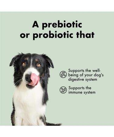Belly 100 Chews Pre & Probiotics for Dogs - 100 Dog Gut Health Chews - UK Dog Probiotic Supplements - Buy Online on GoSupps.com