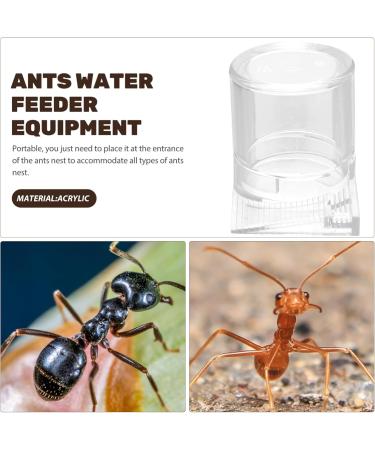 SEWOART Pet Water Feeder Ant Feeder Ant Watering Station Ant Water Feeder Ant Waterer Plastic Transparent - Buy Online on GoSupps.com