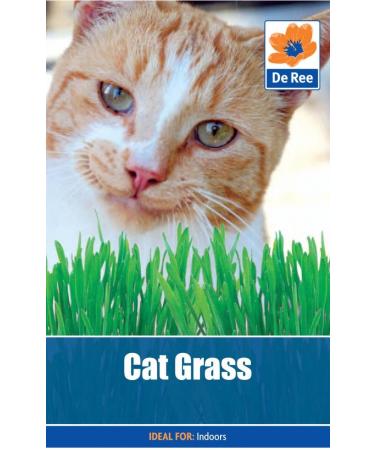 Cat Grass