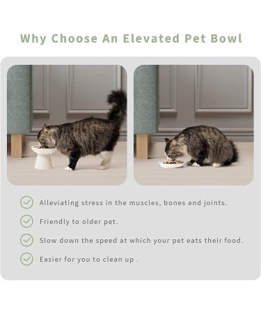 Extra Wide Raised Cat Bowls - Anti-Vomiting & Stress-Free Feeding Solution | Set of 2 Ceramic Bowls in White - Buy Online on GoSupps.com