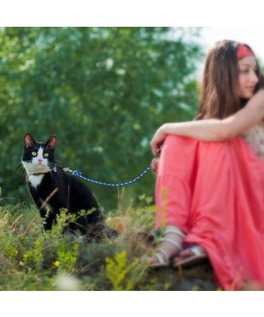 Ranypet 15m Reflecting Long Line for Cats & Small Animals - Durable Safe Disappearing Leash for Kittens Puppies & Rabbits | 50ft Blue - Buy Online on GoSupps.com