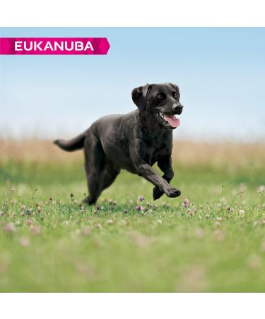 Eukanuba Adult Dog Food For Large Dogs Rich In Fresh Chicken For the Optimal Body Condition of Your Dog 12 kg - Buy Online on GoSupps.com