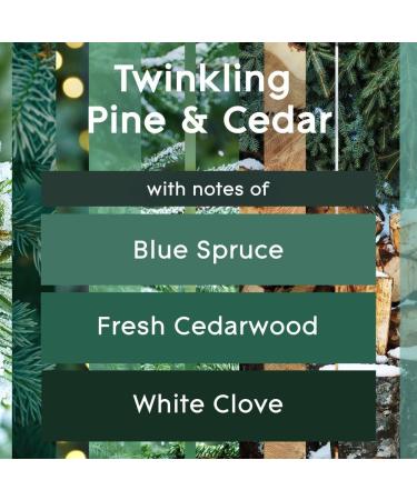Glade PlugIns Air Freshener Starter Kit Scented and Essential Oils for Home and Bathroom Twinkling Pine & Cedar 1 Warmer and 1 Refill Pine Wonderland - Buy Online on GoSupps.com