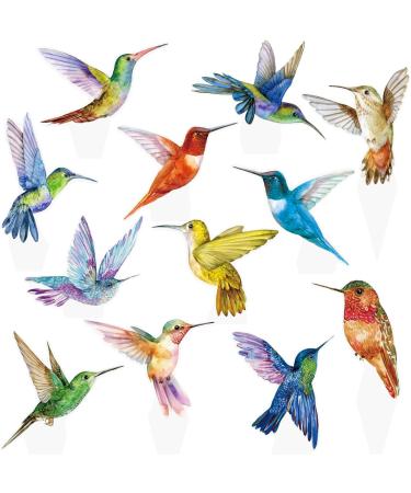 48Pcs Hummingbird Cupcake Toppers Hummingbird Birthday Decorations Hummingbird Party Decorations Hummingbird Cake Topper for Spring Birds Birthday Baby Shower Supplies - Buy Online on GoSupps.com