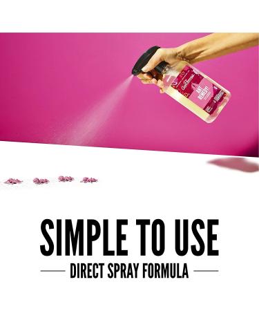 Aunt Fannie's Ant Remedy Spray - 16.9 fl oz Direct Formula for Effective Ant Control - Buy Online on GoSupps.com
